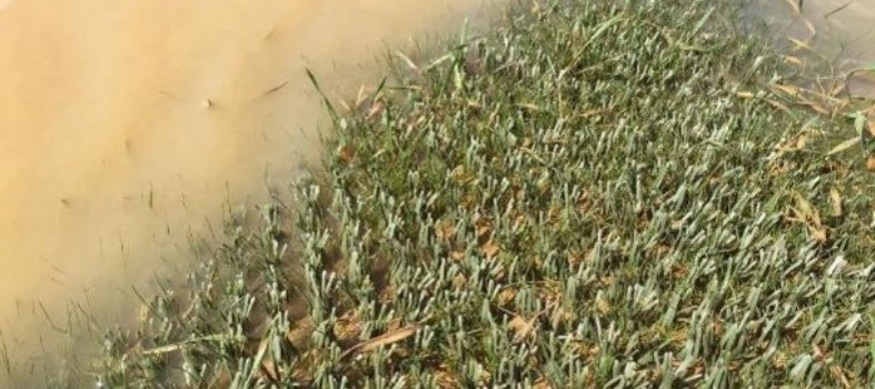 InstaTurf High Performance Erosion Mat26